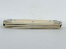 BULLDOG BRAND R Genuine Mastodon Ivory Small Pen w/ OMP Box
