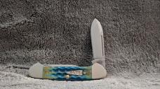 Case XX Sea Dragon Baby Butterbean - SMKW SFO