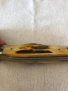 Case XX Folding Hunter Knife USA 5265 SAB SSP 3-DOT 1977 Blue Scroll Stag #11-25-06