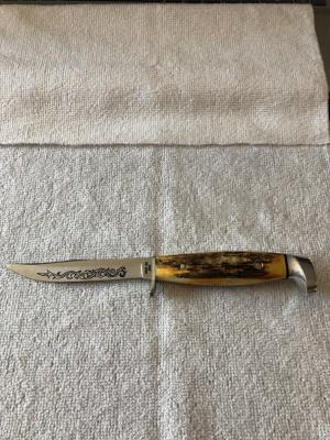 Case XX Fixed Blade Knife USA 5FINN SSP 3-DOT 1977 Blue Scroll Stag #11-25-09