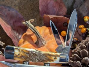 Case factory mammoth ivory large gun stock 