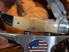 Case Select 05401 Mammoth Ivory (I1265LCSS) Mid Folding Hunter 