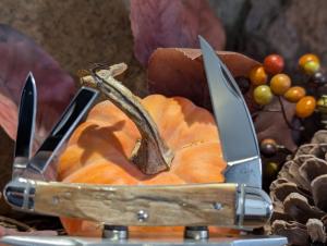 Extremely hard to find Factory Case Mammoth Ivory seahorse whittler with original box & coa 