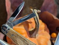 Extremely hard to find Factory Case Mammoth Ivory seahorse whittler with original box & coa 