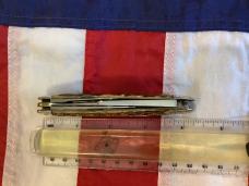 J A Henckels Old 3 Blade Whittler Pocket Knife w/ Sweet Old Bone Handles! NM