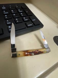 Case 5233 stag 10 dot 1970 2 blade
