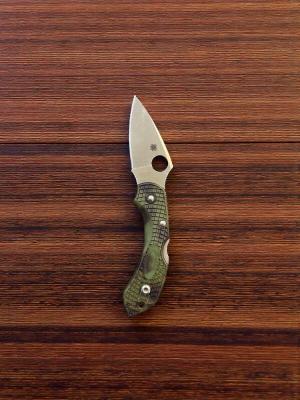 Spyderco Dragonfly 2 Lightweight (VG-10/FRN Scales)