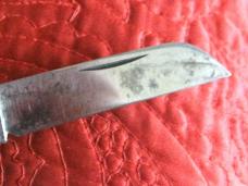 BOKER 4 blade Congress w/Bone scales. UNSHARPENED