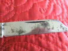 BOKER 4 blade Congress w/Bone scales. UNSHARPENED