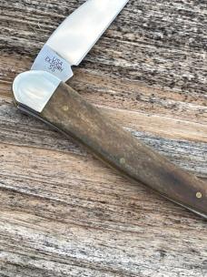 CASE XX ** 2017 ORANGE GIRAFFE BONE SEAHORSE WHITTLER