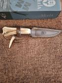 Muela  Gred-13h stag