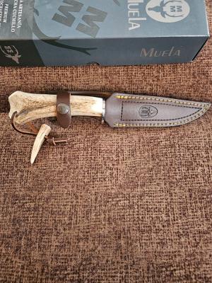 Muela  Gred-13h stag
