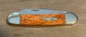 CASE Canoe Chestnut