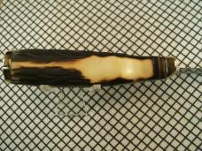 SCHRADE USA MADE VINTAGE 491 GOLD RUSH COMMORMERATIVE 49'R CARBON STEEL FIXED BLADE KNIFE & SHEATH
