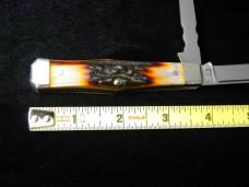 Napanoch Knife Co. Genuine Amber Stag Mortician Coffin Jack Knife Rare 1 of 12 COA USA Made