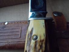 Case Stag Fixed Blade Knife 