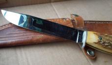 Case Stag Fixed Blade Knife 