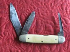 USTER 3 bl Cattle Knife with Imitation Ivory scales and steer logo