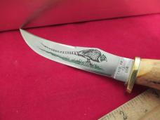 Case XX 1984 Small Game Knife Pattern # 523-3 1/2 SSP