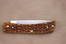 CASE XX AMBER BONE SOD BUSTER JR 6137SS 2025