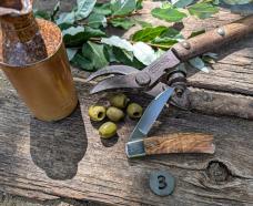 Tuna Valley Cutlery - Phoenix Jack - Holy Land Olive Wood Handles-3-154CM Steel Blade - NEW RELEASE!