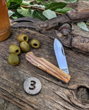TITUSVILLE CUTLERY -Little Man Jack -Holyland Olive Wood Handles-3-1095 High Carbon Steel Blade -NEW