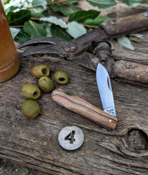 TITUSVILLE CUTLERY -Little Man Jack -Holyland Olive Wood Handles-4-1095 High Carbon Steel Blade -NEW