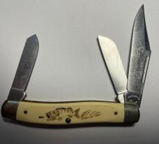 Imperial Scrimshaw dtockman