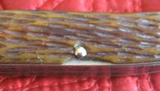 SCHRADE WALDEN 3 blade stock knife w/peach seed bone scales
