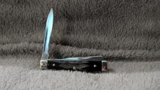 Case XX Baby Doc Buffalo Horn - Limited CaseKnives.com Exclusive