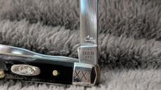 Case XX Baby Doc Buffalo Horn - Limited CaseKnives.com Exclusive