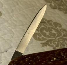 R6243 Remington serpentine lobster pocket knife