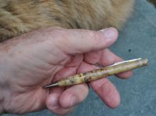 Cattaraugus Pencil Knife 2 Blades 1930s Mint Mirror Polish 1/2 Stop Walks And Talks %" OAL