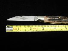 Great Eastern Cutlery Northfield Sambar Stag Pocket Congress Knife 620220 Wharncliffe 1 of 679