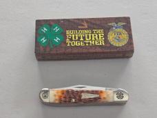 Case XX 2021 Tennessee Farmers Co-Op FFA 4-H Copperhead Knife