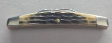 Case XX 2023 Tennessee Farmers Co-Op FFA 4-H Small Congress Knife