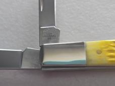 Case XX 2024 Tennessee Farmers Co-Op FFA 4-H Razor Knife