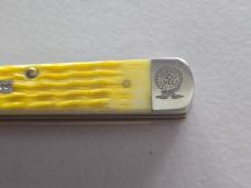Case XX 2024 Tennessee Farmers Co-Op FFA 4-H Razor Knife
