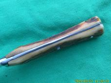 Schneidieufel Solingen Germany Stag Trout Knife.
