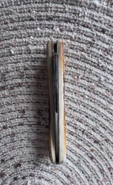 Case 6.5 BoneStag Sod Buster Jr.