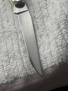 Case XX USA 2 Dot 1978 Red Letter 2 Blade Muskrat SSP Stag Handle (30)