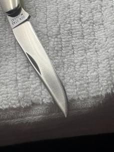 Case XX USA 2 Dot 1978 Red Letter 2 Blade Muskrat SSP Stag Handle (30)