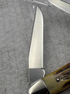 Case XX USA 2 Dot 1978 Red Letter 2 Blade Muskrat SSP Stag Handle (30)