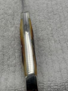 Case XX USA 2 Dot 1978 Red Letter 2 Blade Muskrat SSP Stag Handle (30)