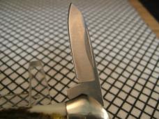 BUCK 389 CANOE ATTRACTIVE BONE STAG MINT 2000'S U.S.A. DOUBLE BLADE FOLDING POCKET KNIFE