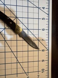 Buck The 55 Lockback Knife Brass/Ebony (2.375" Satin) 0055BRS