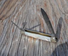 Frank Buster Pearl Whittler Gator Cutlery Club Knife Tampa FL Show 1982 1 Of 100