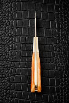Case Barlow Deep Canyon Autumn Bone Jig 61009 1/2 SS
