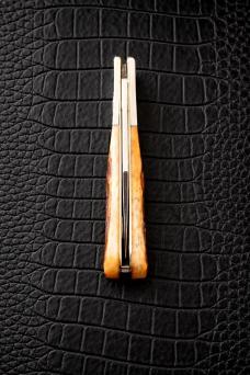 Case Barlow Deep Canyon Autumn Bone Jig 61009 1/2 SS