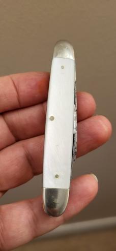 Rare 3 3/8" Curtin & Clarck Pearl Congress, Made in Germany